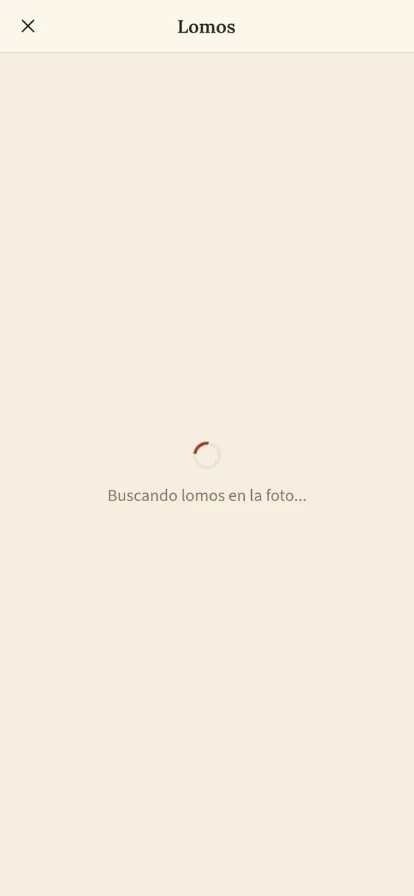 La app buscando los lomos en la foto
